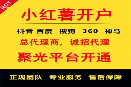 SEM代理案例：揭秘成功背后的秘密